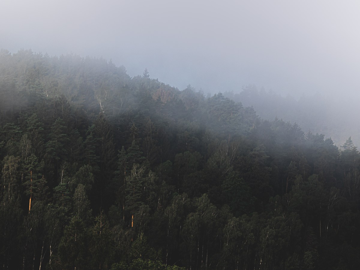 Een reis met veel ongemakken.